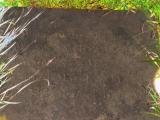 image of grave number 953464